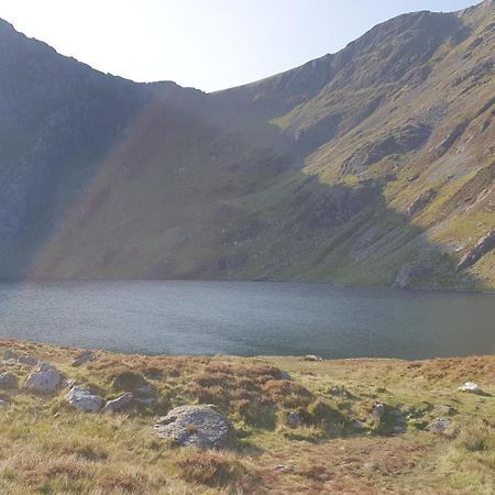 The Granary Corris On The Edge Of The Dyfi Forest Exteriör bild