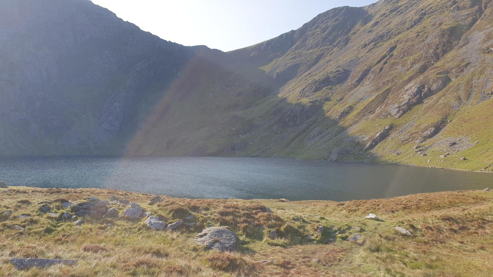 The Granary Corris On The Edge Of The Dyfi Forest Exteriör bild