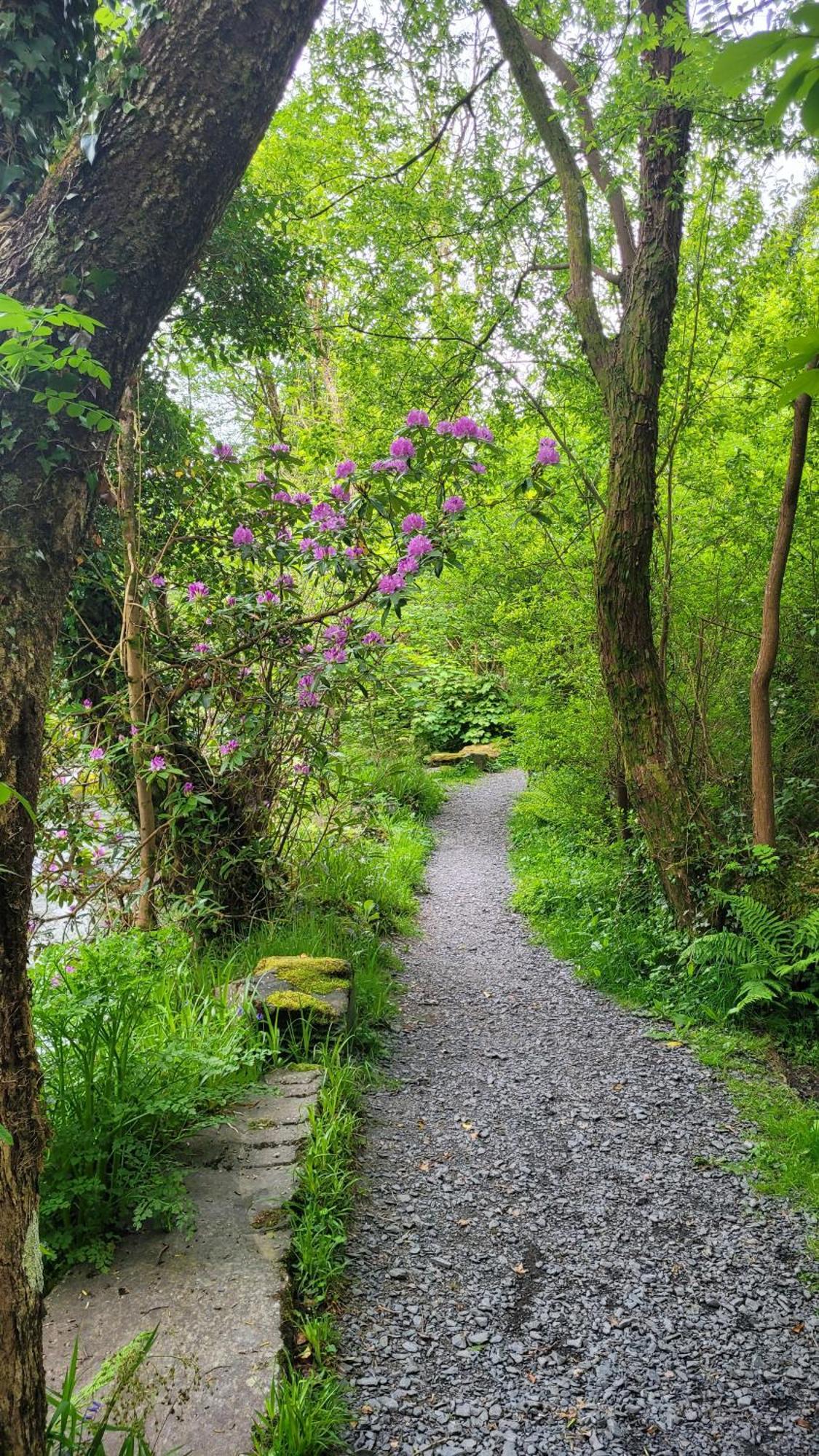 The Granary Corris On The Edge Of The Dyfi Forest Exteriör bild