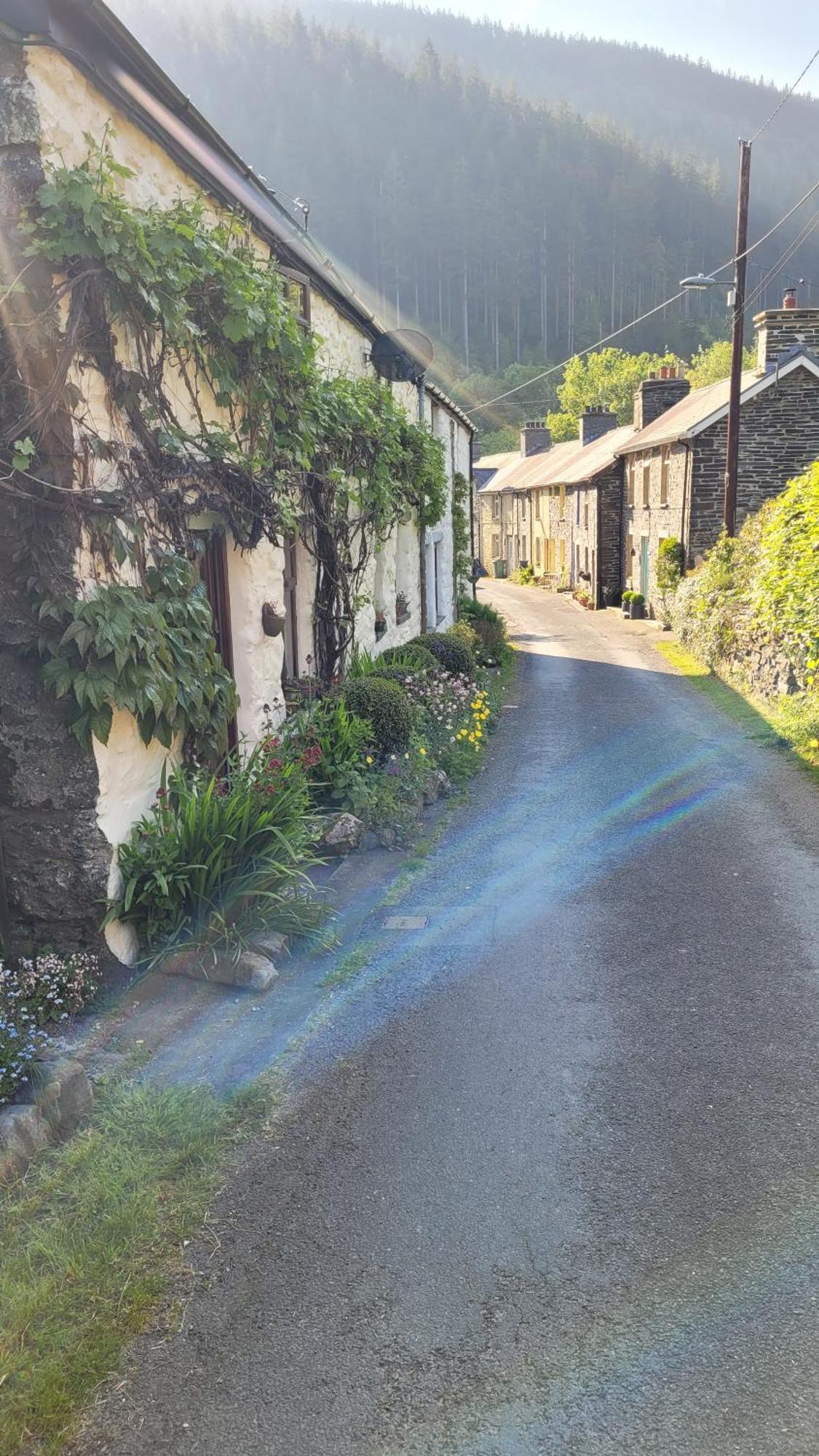 The Granary Corris On The Edge Of The Dyfi Forest Exteriör bild